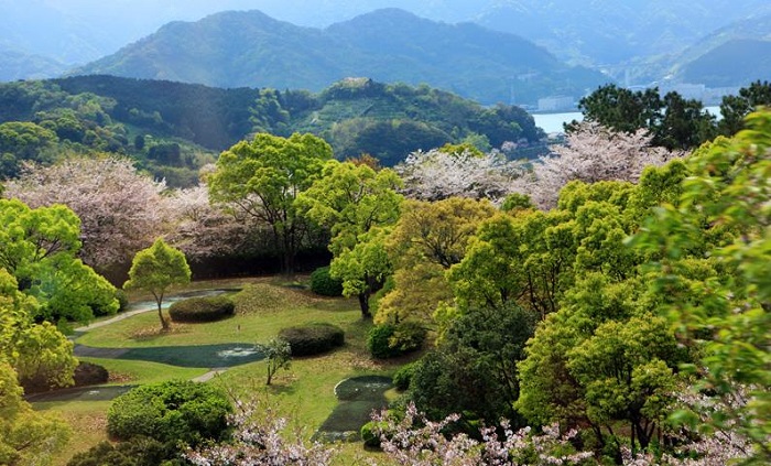 詳細(xì)介紹日本注冊公司需要什么資料？